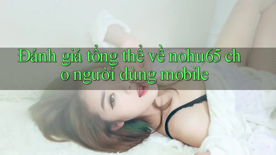 Đánh giá tổng thể về nohu65 cho người dùng mobile