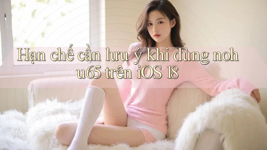 Hạn chế cần lưu ý khi dùng nohu65 trên iOS 18