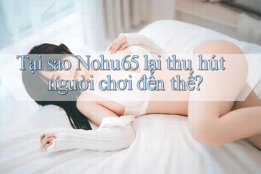 Tại sao Nohu65 lại thu hút người chơi đến thế?
